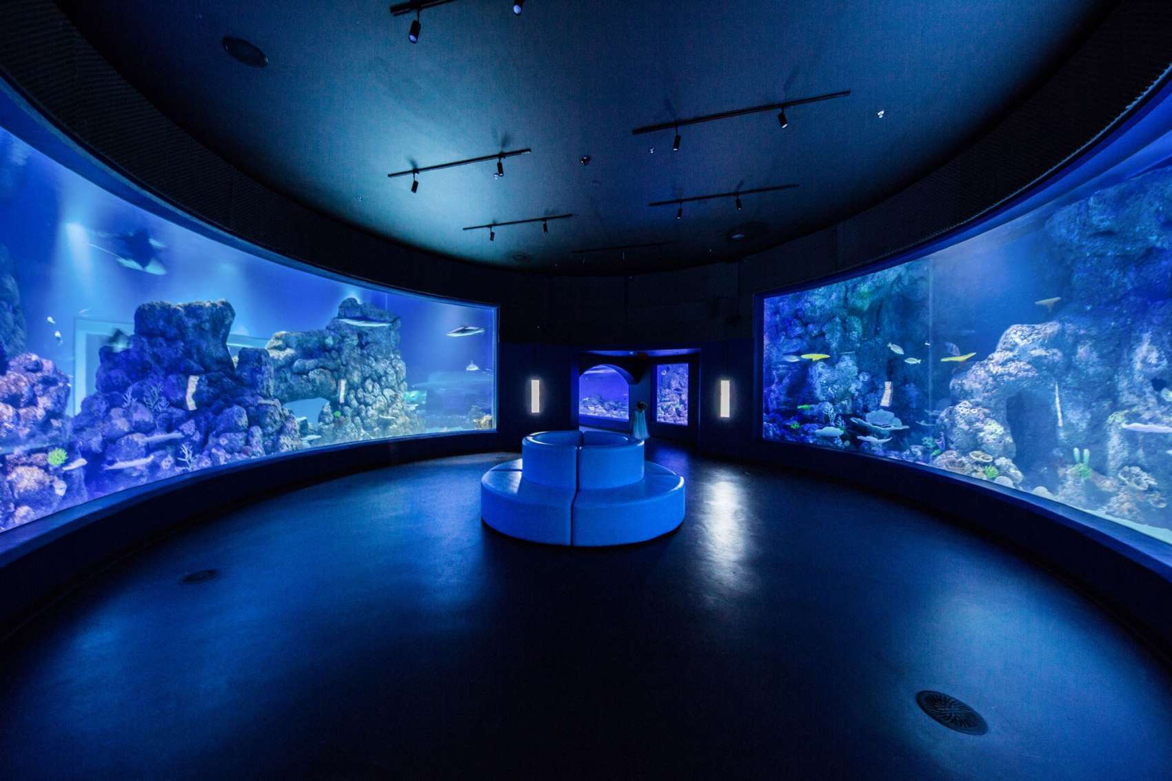 Cairns Aquarium Sugarworld Estate